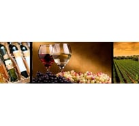 Панель для кухонного фартука ФАРТУКОФФ глянцевая "ФФ - 63", 2000x600x1,0 мм, Фотопечать 35010630402