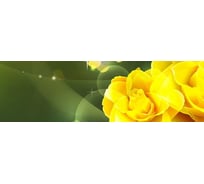 Панель для кухонного фартука ФАРТУКОФФ глянцевая "ФФ - 88", 2000x600x1,0 мм, Фотопечать 35010880402