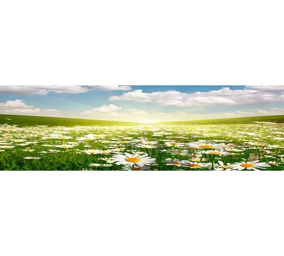 Панель для кухонного фартука ФАРТУКОФФ глянцевая "ФФ - 164", 2000x600x1,0 мм, Фотопечать 35011640402 1