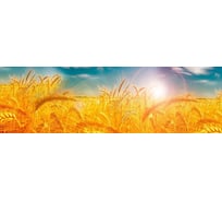 Панель для кухонного фартука ФАРТУКОФФ глянцевая "ФФ - 167", 2000x600x1,0 мм, Фотопечать 35011670402