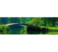 Панель для кухонного фартука ФАРТУКОФФ глянцевая "ФФ - 173", 2000x600x1,0 мм, Фотопечать 35011730402