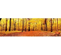 Панель для кухонного фартука ФАРТУКОФФ глянцевая "ФФ - 180", 2000x600x1,0 мм, Фотопечать 35011800402