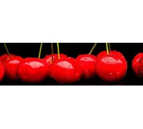 Панель для кухонного фартука ФАРТУКОФФ глянцевая "ФФ - 197", 2000x600x1,0 мм, Фотопечать 35011970402