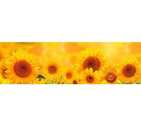 Панель для кухонного фартука ФАРТУКОФФ глянцевая "ФФ - 310", 2000x600x1,0 мм, Фотопечать 35013100402