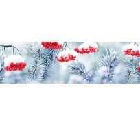 Панель для кухонного фартука ФАРТУКОФФ глянцевая "ФФ - 401", 2000x600x1,0 мм, Фотопечать 35014010402