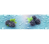 Панель для кухонного фартука ФАРТУКОФФ глянцевая "ФФ - 402", 2000x600x1,0 мм, Фотопечать 35014020402