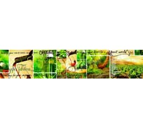 Панель для кухонного фартука ФАРТУКОФФ глянцевая "ФФ - 44", 3000x600x1,0 мм, Фотопечать 35010440403