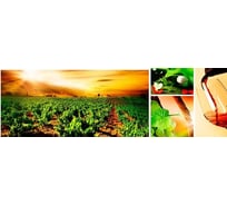 Панель для кухонного фартука ФАРТУКОФФ глянцевая "ФФ - 65", 3000x600x1,0 мм, Фотопечать 35010650403