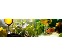 Панель для кухонного фартука ФАРТУКОФФ глянцевая "ФФ - 66", 3000x600x1,0 мм, Фотопечать 35010660403