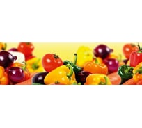 Панель для кухонного фартука ФАРТУКОФФ глянцевая "ФФ - 206", 2000x600x1,0 мм, Фотопечать 35012060402