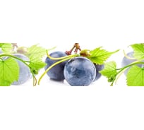 Панель для кухонного фартука ФАРТУКОФФ глянцевая "ФФ - 214", 2000x600x1,0 мм, Фотопечать 35012140402