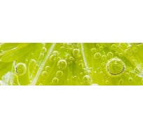 Панель для кухонного фартука ФАРТУКОФФ глянцевая "ФФ - 216", 2000x600x1,0 мм, Фотопечать 35012160402