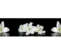 Панель для кухонного фартука ФАРТУКОФФ глянцевая "ФФ - 224", 2000x600x1,0 мм, Фотопечать 35012240402