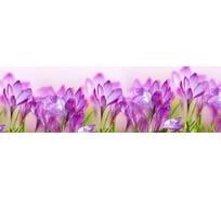 Панель для кухонного фартука ФАРТУКОФФ глянцевая "ФФ - 225", 2000x600x1,0 мм, Фотопечать 35012250402