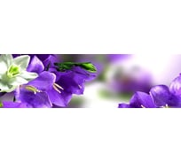 Панель для кухонного фартука ФАРТУКОФФ глянцевая "ФФ - 230", 2000x600x1,0 мм, Фотопечать 35012300402