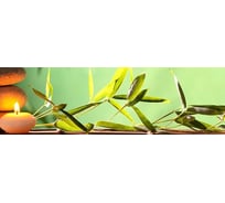 Панель для кухонного фартука ФАРТУКОФФ глянцевая "ФФ - 232", 2000x600x1,0 мм, Фотопечать 35012320402