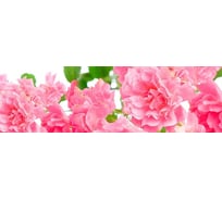 Панель для кухонного фартука ФАРТУКОФФ глянцевая "ФФ - 234", 2000x600x1,0 мм, Фотопечать 35012340402