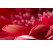 Панель для кухонного фартука ФАРТУКОФФ глянцевая "ФФ - 236", 2000x600x1,0 мм, Фотопечать 35012360402