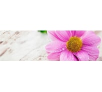 Панель для кухонного фартука ФАРТУКОФФ глянцевая "ФФ - 238", 2000x600x1,0 мм, Фотопечать 35012380402