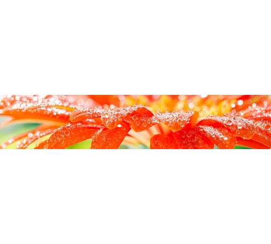 Панель для кухонного фартука ФАРТУКОФФ глянцевая "ФФ - 237", 2000x600x1,0 мм, Фотопечать 35012370402 1