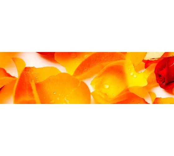 Панель для кухонного фартука ФАРТУКОФФ глянцевая "ФФ - 239", 2000x600x1,0 мм, Фотопечать 35012390402