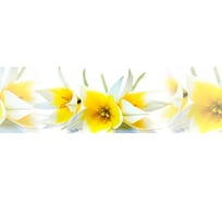 Панель для кухонного фартука ФАРТУКОФФ глянцевая "ФФ - 243", 2000x600x1,0 мм, Фотопечать 35012430402