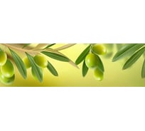 Панель для кухонного фартука ФАРТУКОФФ глянцевая "ФФ - 247", 2000x600x1,0 мм, Фотопечать 35012470402