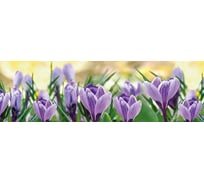 Панель для кухонного фартука ФАРТУКОФФ глянцевая "ФФ - 298", 2000x600x1,0 мм, Фотопечать 35012980402