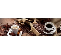 Панель для кухонного фартука ФАРТУКОФФ глянцевая "ФФ - 300", 2000x600x1,0 мм, Фотопечать 35013000402