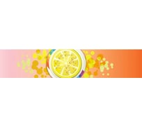 Панель для кухонного фартука ФАРТУКОФФ глянцевая "ФФ - 107", 3000x600x1,0 мм, Фотопечать 35011070403