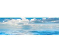 Панель для кухонного фартука ФАРТУКОФФ глянцевая "ФФ - 161", 3000x600x1,0 мм, Фотопечать 35011610403