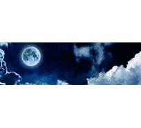 Панель для кухонного фартука ФАРТУКОФФ глянцевая "ФФ - 163", 3000x600x1,0 мм, Фотопечать 35011630403