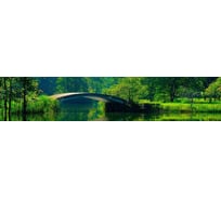 Панель для кухонного фартука ФАРТУКОФФ глянцевая "ФФ - 173", 3000x600x1,0 мм, Фотопечать 35011730403