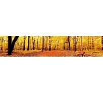 Панель для кухонного фартука ФАРТУКОФФ глянцевая "ФФ - 180", 3000x600x1,0 мм, Фотопечать 35011800403