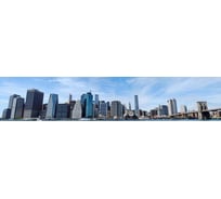 Панель для кухонного фартука ФАРТУКОФФ глянцевая "ФФ - 5", 3000x600x1,0 мм, Фотопечать 35010050403