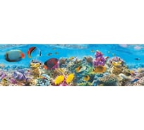 Панель для кухонного фартука ФАРТУКОФФ глянцевая "ФФ - 17", 2000x600x1,0 мм, Фотопечать 35010170402