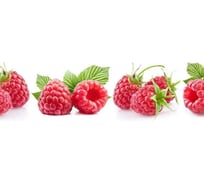 Панель для кухонного фартука ФАРТУКОФФ глянцевая "ФФ - 14", 2000x600x1,0 мм, Фотопечать 35010140402