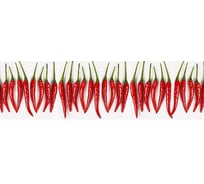 Панель для кухонного фартука ФАРТУКОФФ глянцевая "ФФ - 15", 2000x600x1,0 мм, Фотопечать 35010150402