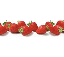 Панель для кухонного фартука ФАРТУКОФФ глянцевая "ФФ - 10", 2000x600x1,0 мм, Фотопечать 35010100402