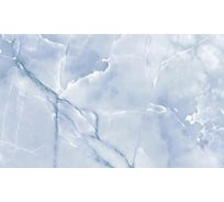 Панель для кухонного фартука ФАРТУКОФФ "ФФ - 463", глянцевая 1000x600x1,0 мм, Фотопечать 35014630401