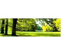 Панель для кухонного фартука ФАРТУКОФФ глянцевая "ФФ - 189", 3000x600x1,0 мм, Фотопечать 35011890403