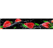 Панель для кухонного фартука ФАРТУКОФФ глянцевая "ФФ - 201", 3000x600x1,0 мм, Фотопечать 35012010403