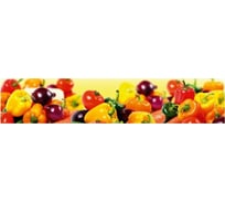 Панель для кухонного фартука ФАРТУКОФФ глянцевая "ФФ - 206", 3000x600x1,0 мм, Фотопечать 35012060403