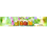 Панель для кухонного фартука ФАРТУКОФФ глянцевая "ФФ - 213", 3000x600x1,0 мм, Фотопечать 35012130403