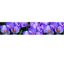 Панель для кухонного фартука ФАРТУКОФФ глянцевая "ФФ - 227", 3000x600x1,0 мм, Фотопечать 35012270403