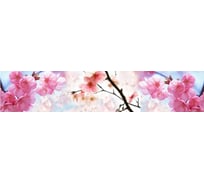 Панель для кухонного фартука ФАРТУКОФФ глянцевая "ФФ - 229", 3000x600x1,0 мм, Фотопечать 35012290403