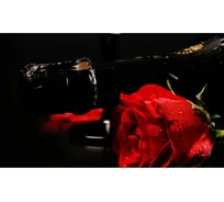 Панель для кухонного фартука ФАРТУКОФФ "ФФ - 61", глянцевая 1000x600x1,0 мм, Фотопечать 35010610401