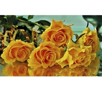 Панель для кухонного фартука ФАРТУКОФФ "ФФ - 64", глянцевая 1000x600x1,0 мм, Фотопечать 35010640401