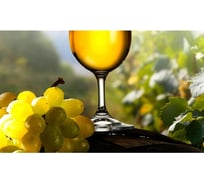 Панель для кухонного фартука ФАРТУКОФФ "ФФ - 66", глянцевая 1000x600x1,0 мм, Фотопечать 35010660401