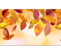 Панель для кухонного фартука ФАРТУКОФФ "ФФ - 159", глянцевая 1000x600x1,0 мм, Фотопечать 35011590401